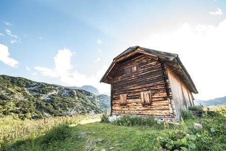 Gjaid_Alm_2017_0066-2